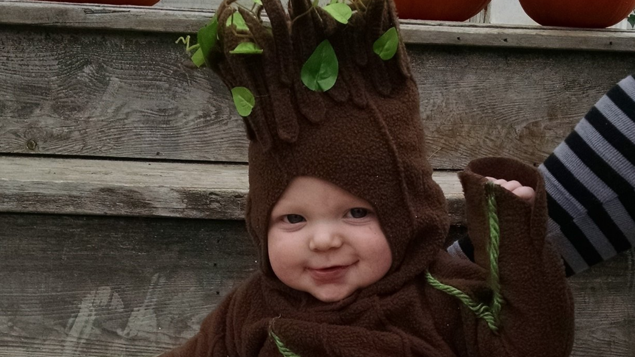 14 Fun Halloween Costumes for Babies Mental Floss