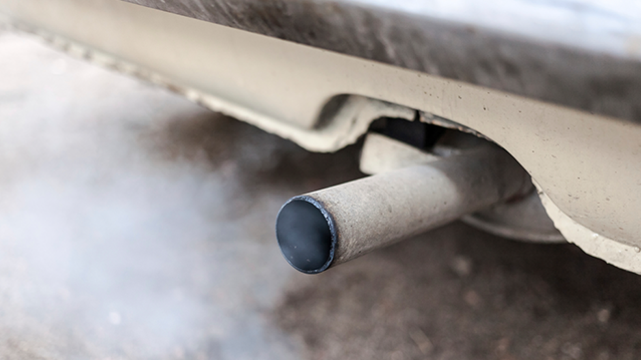 Calculate Your Car's Carbon Footprint Mental Floss