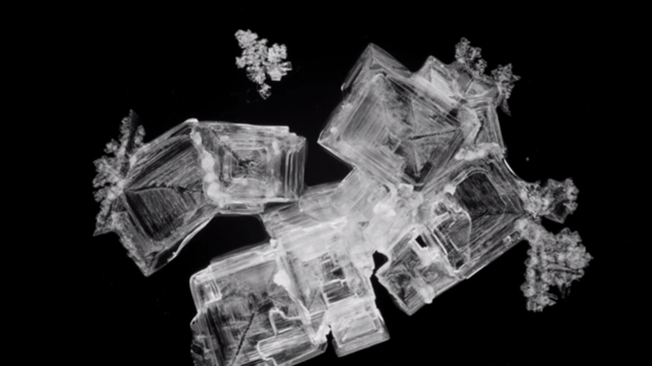 Breathtaking Timelapse Shows How Crystallization Occurs | Mental Floss