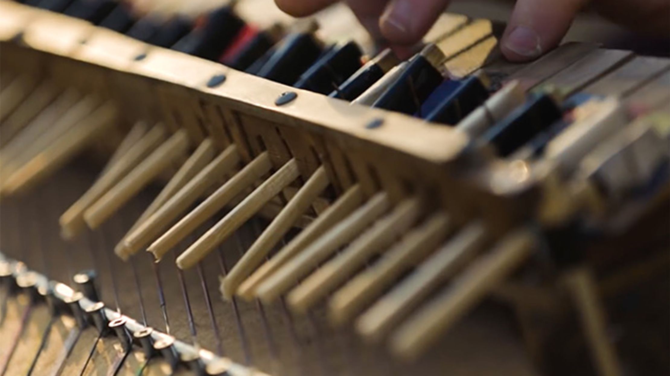 Sami Elu's Melodic Chopstick Piano Mental Floss