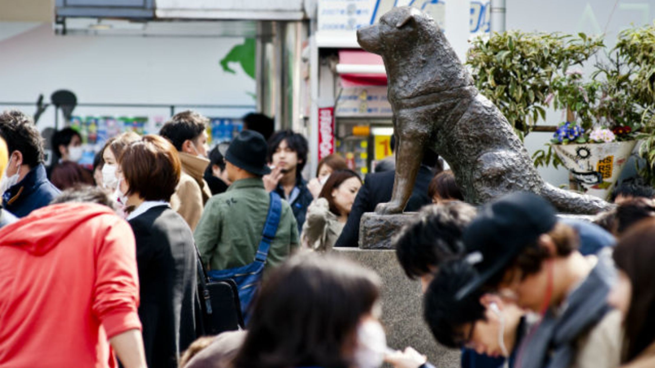 The Story of Hachikō, Japan’s Famously Loyal Dog Mental Floss