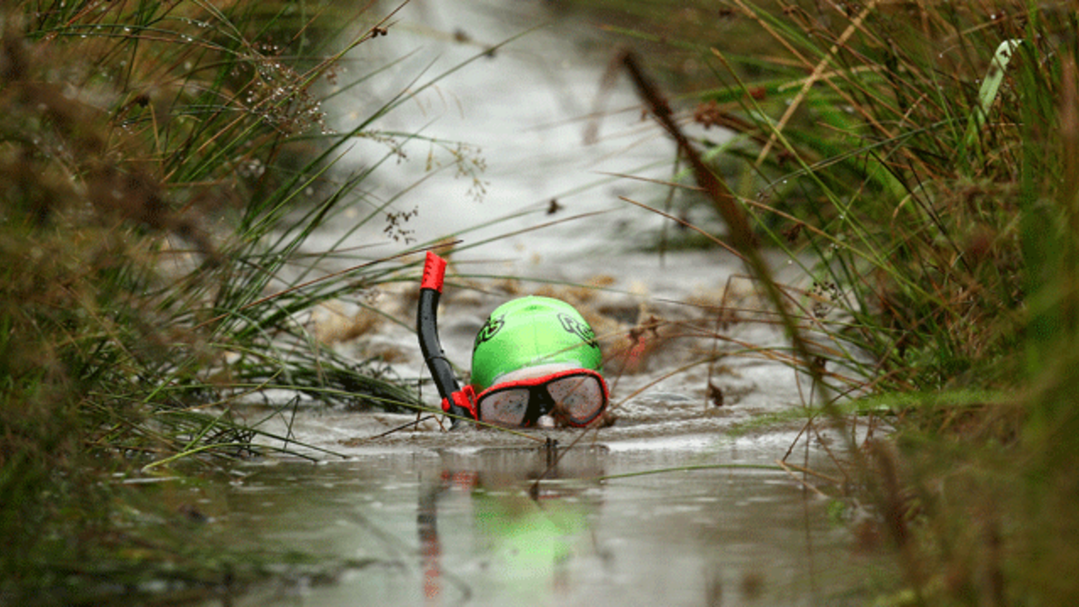 The World Alternative Games Include Wife Carrying and Bog The World Alternative Games Include Wife Carrying and Bog