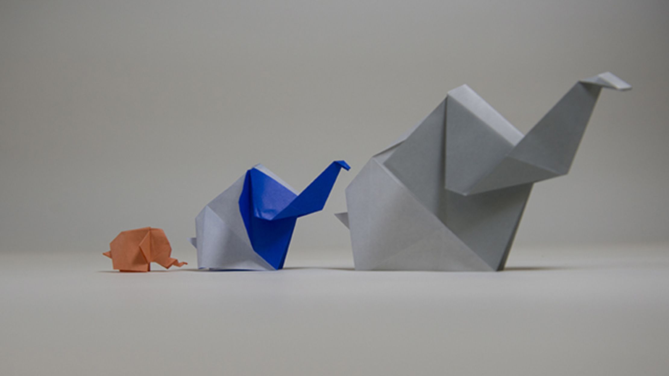 Zoos Are Folding 35,000 Origami Elephants to Raise Poaching Awareness