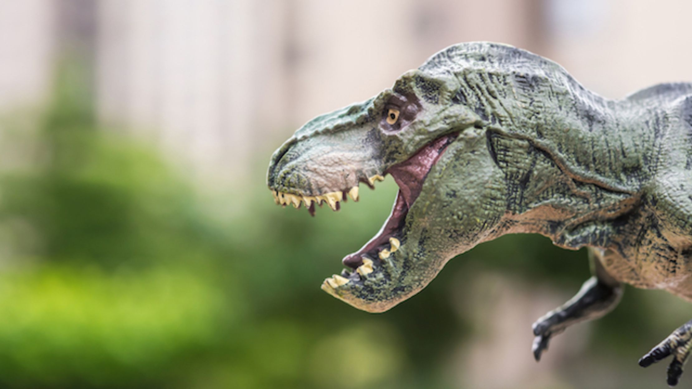 ten t rexes