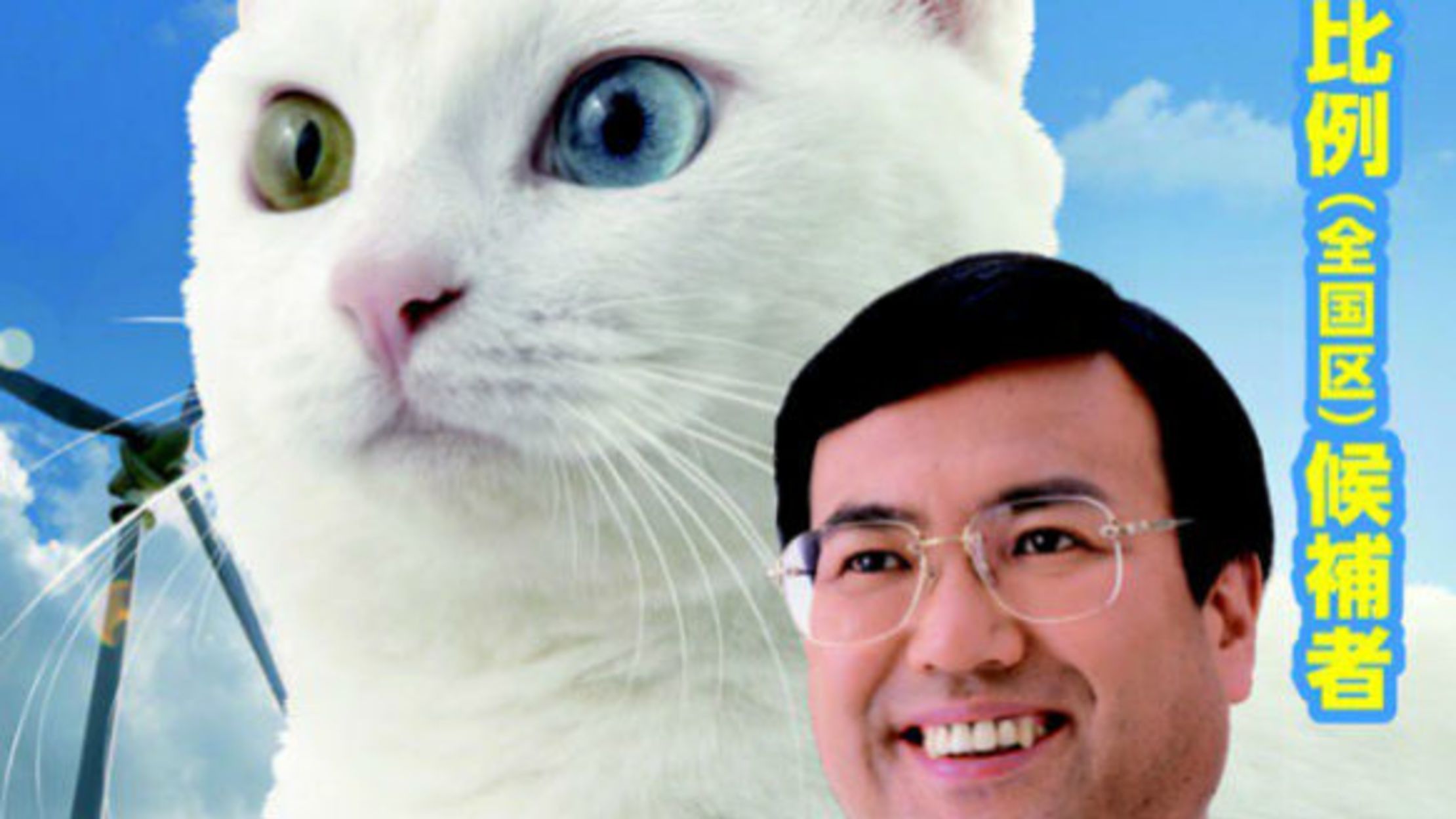 This Japanese Politician is Campaigning with a Cat | Mental Floss 