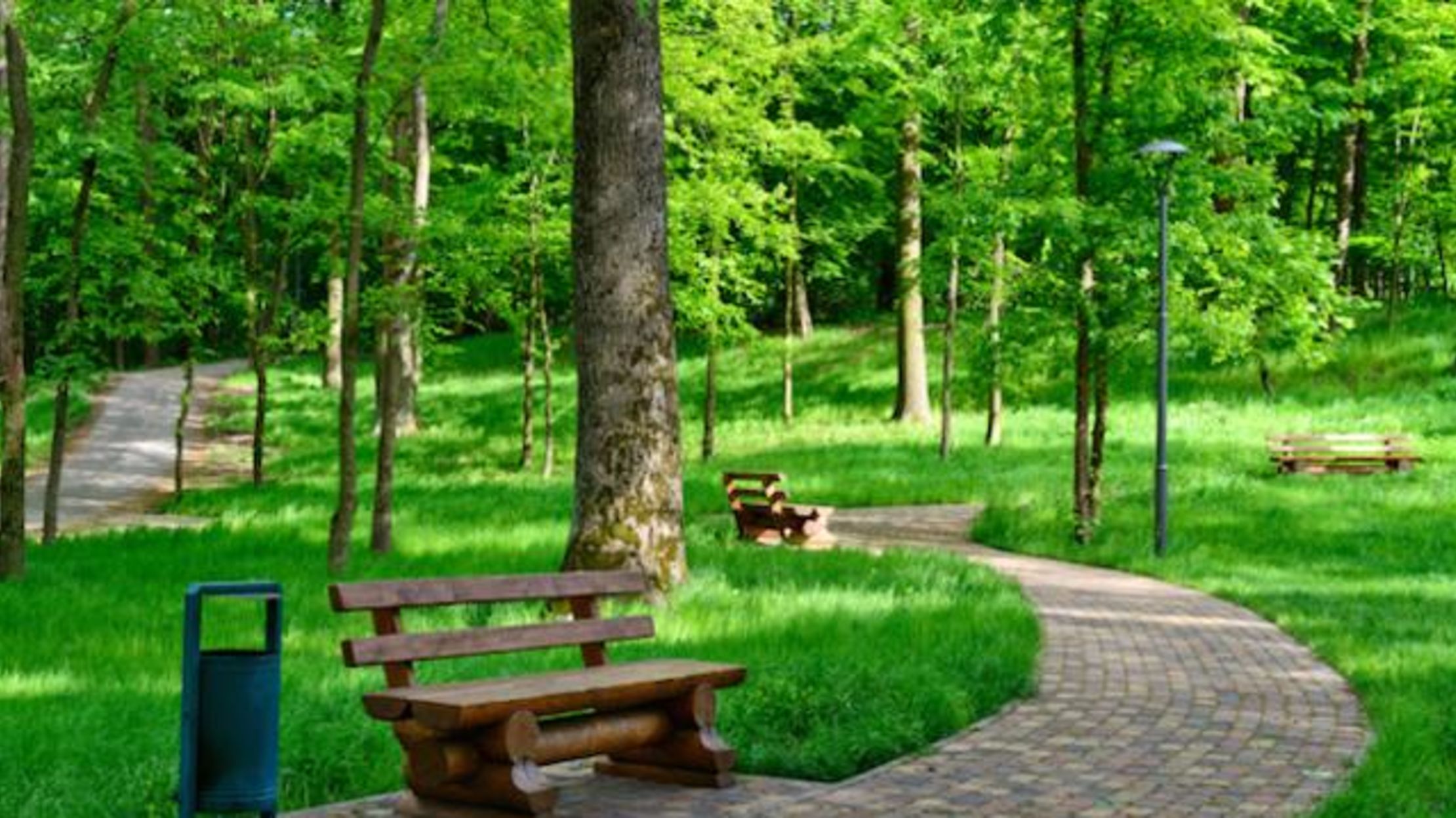 More Green Spaces Linked to Less Aggressive Kids Mental Floss
