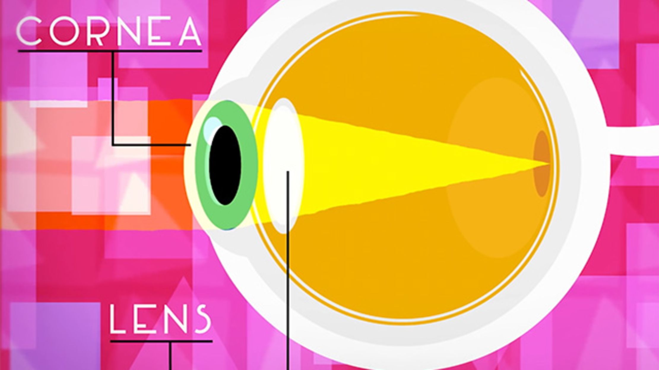 How Do Eyeglasses Work? Mental Floss