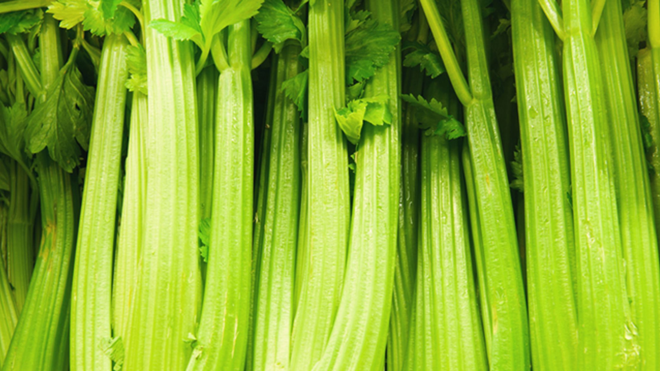 Why Did People Start Growing Celery? Mental Floss