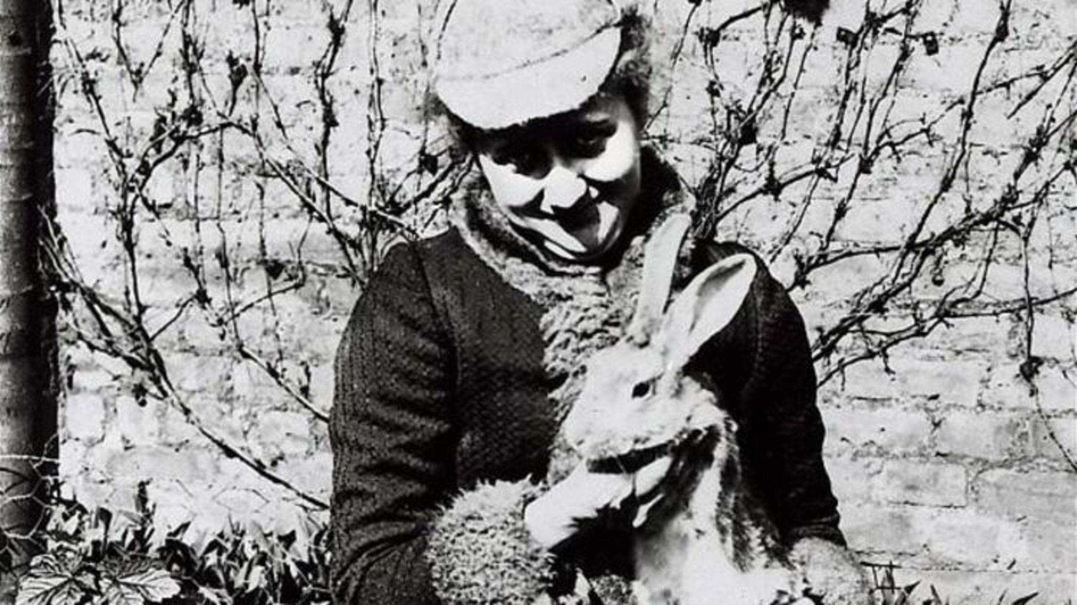 Morning Cup of Links: The Real Peter Rabbit | Mental Floss