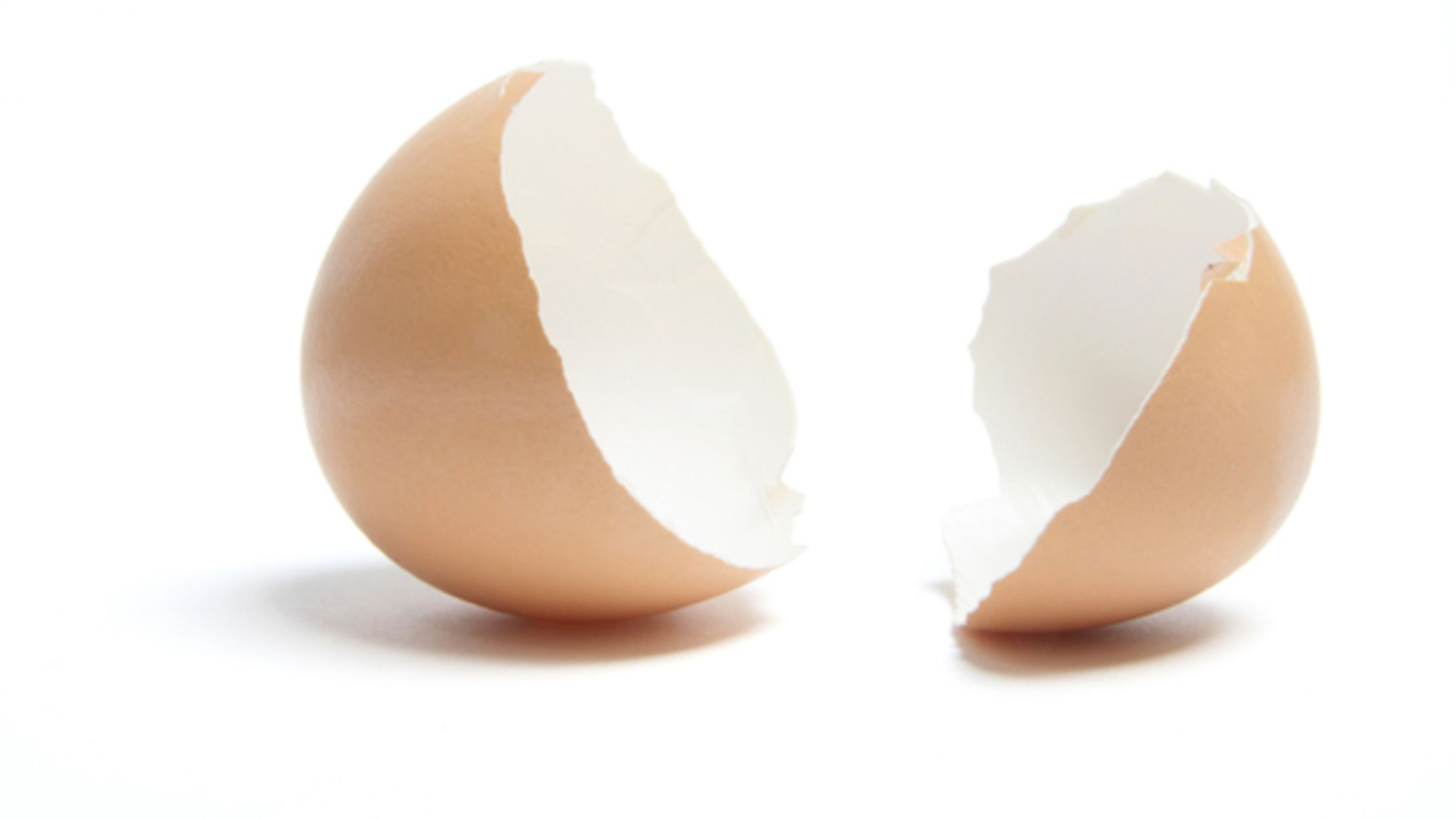 How One Company Is Using Chemistry to Cleanse and Recycle Egg Shells