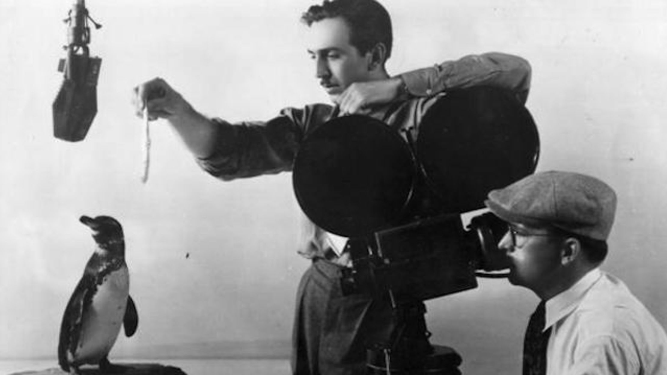 The Time Walt Disney Almost Lost His Job At Walt Disney Studios Mental Floss