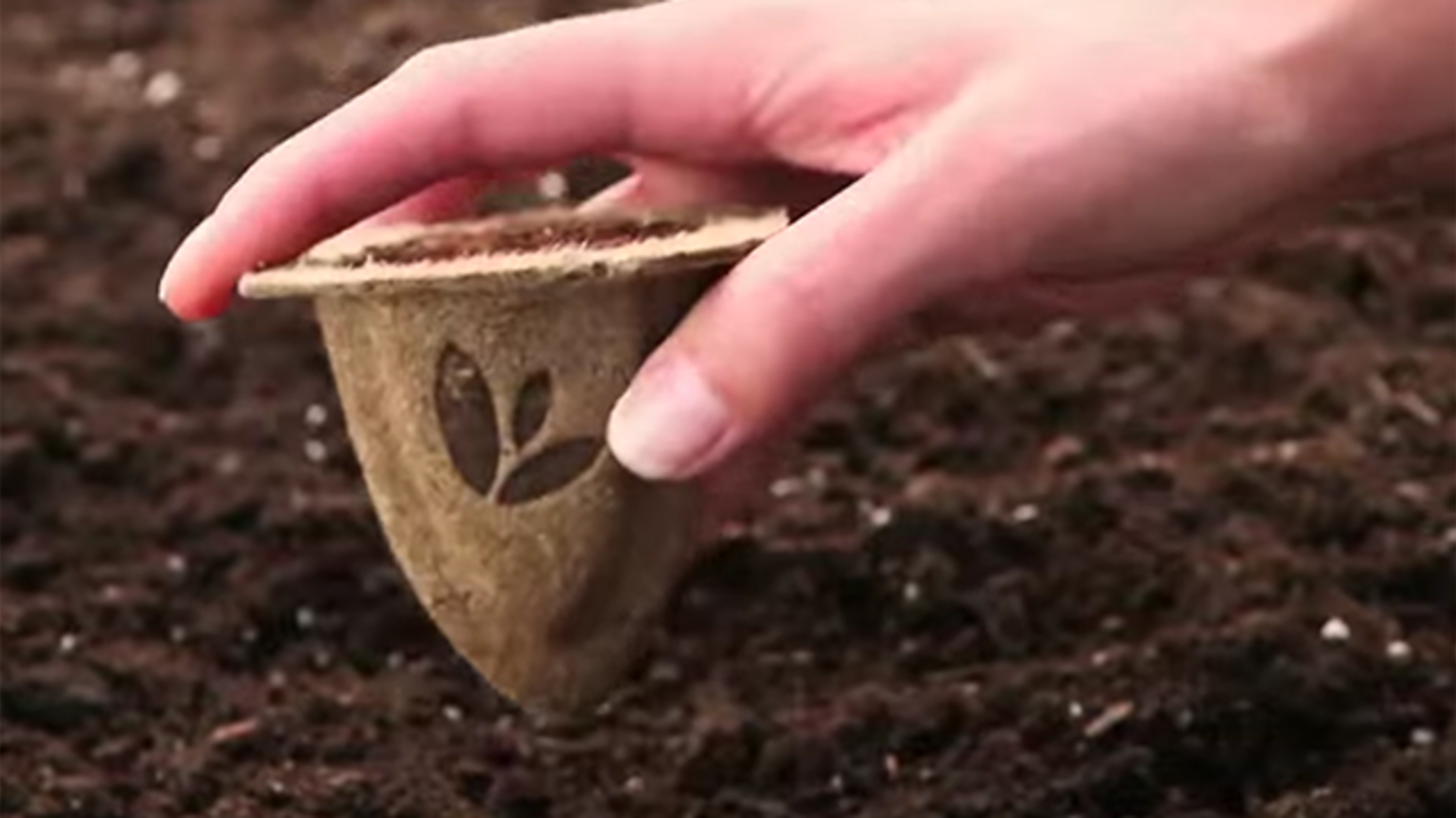 Biodegradable Seed Cups Are the Keurig of Gardening Mental Floss