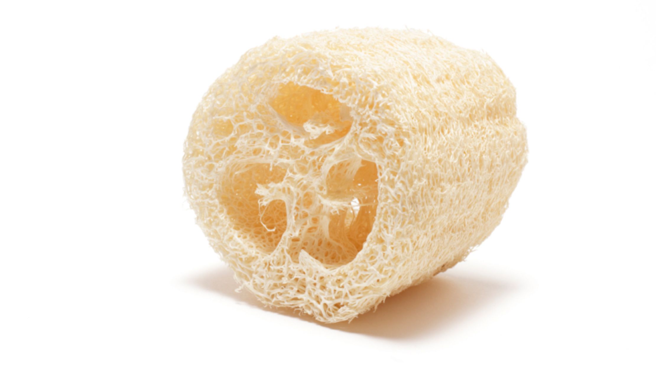 What Are Loofahs Made Of? Mental Floss