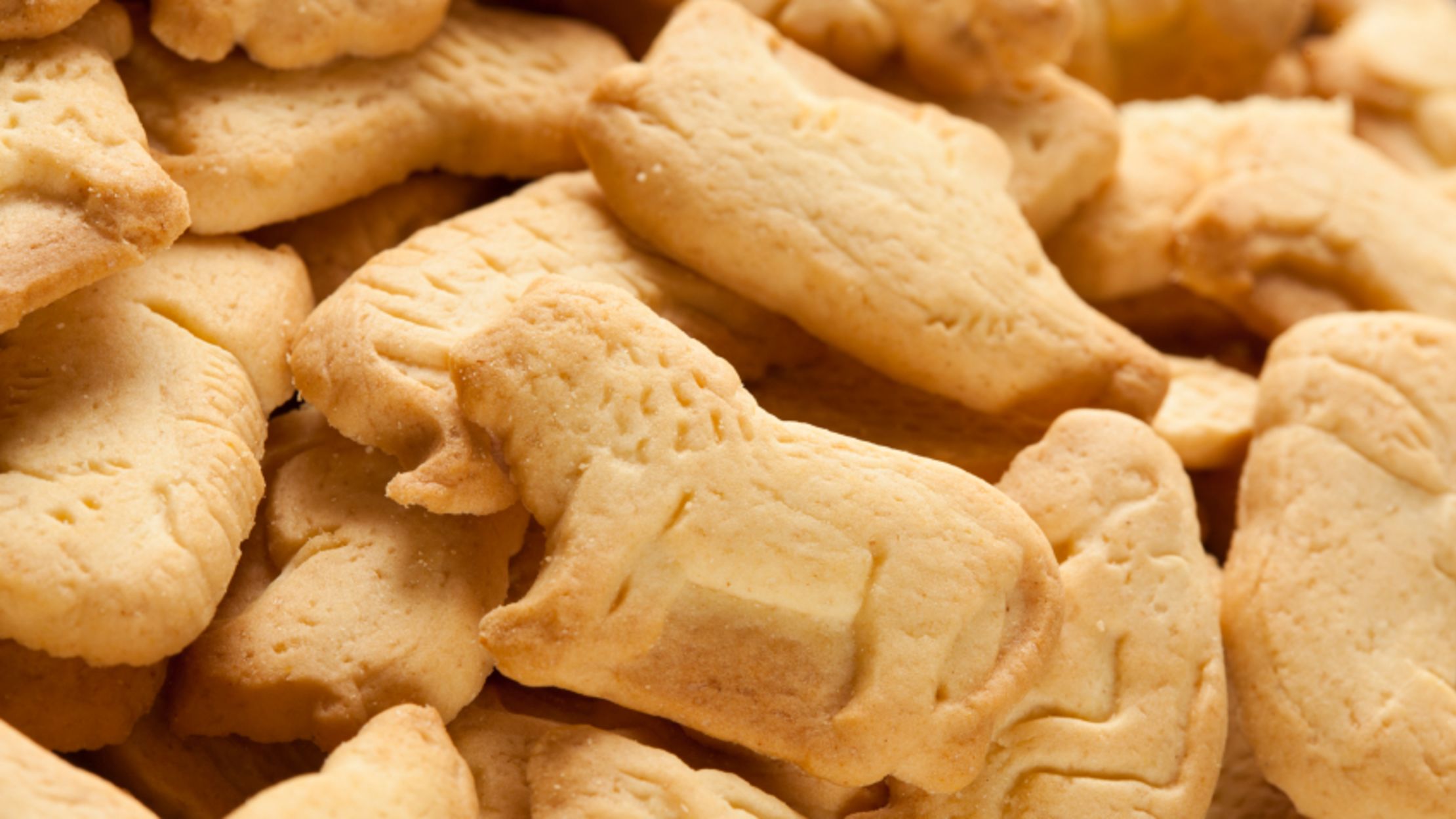 food image