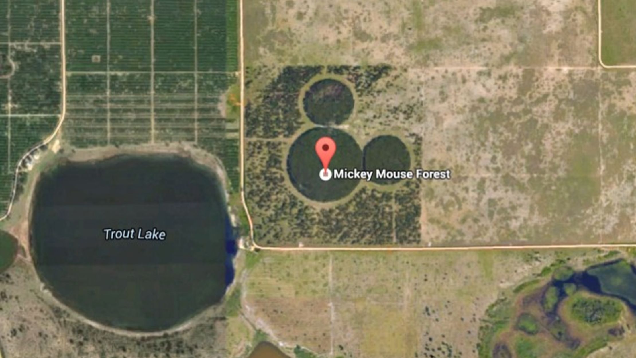 5 Hidden Representations of Mickey Mouse, Only Visible From the Air