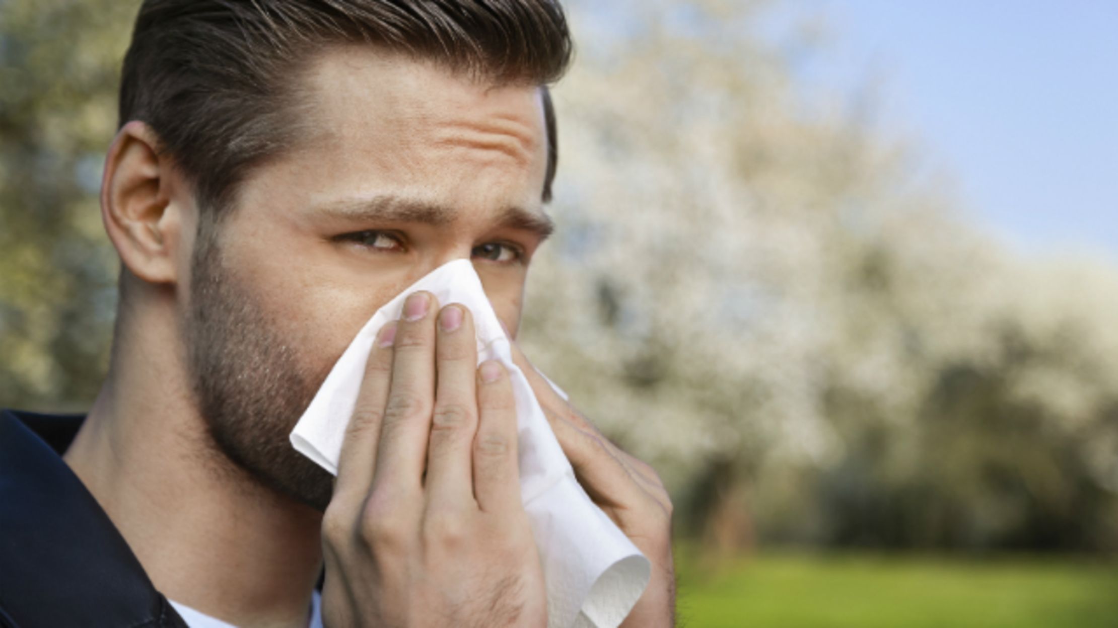 Here Are The 10 Worst Cities For People With Allergies Mental Floss 6935