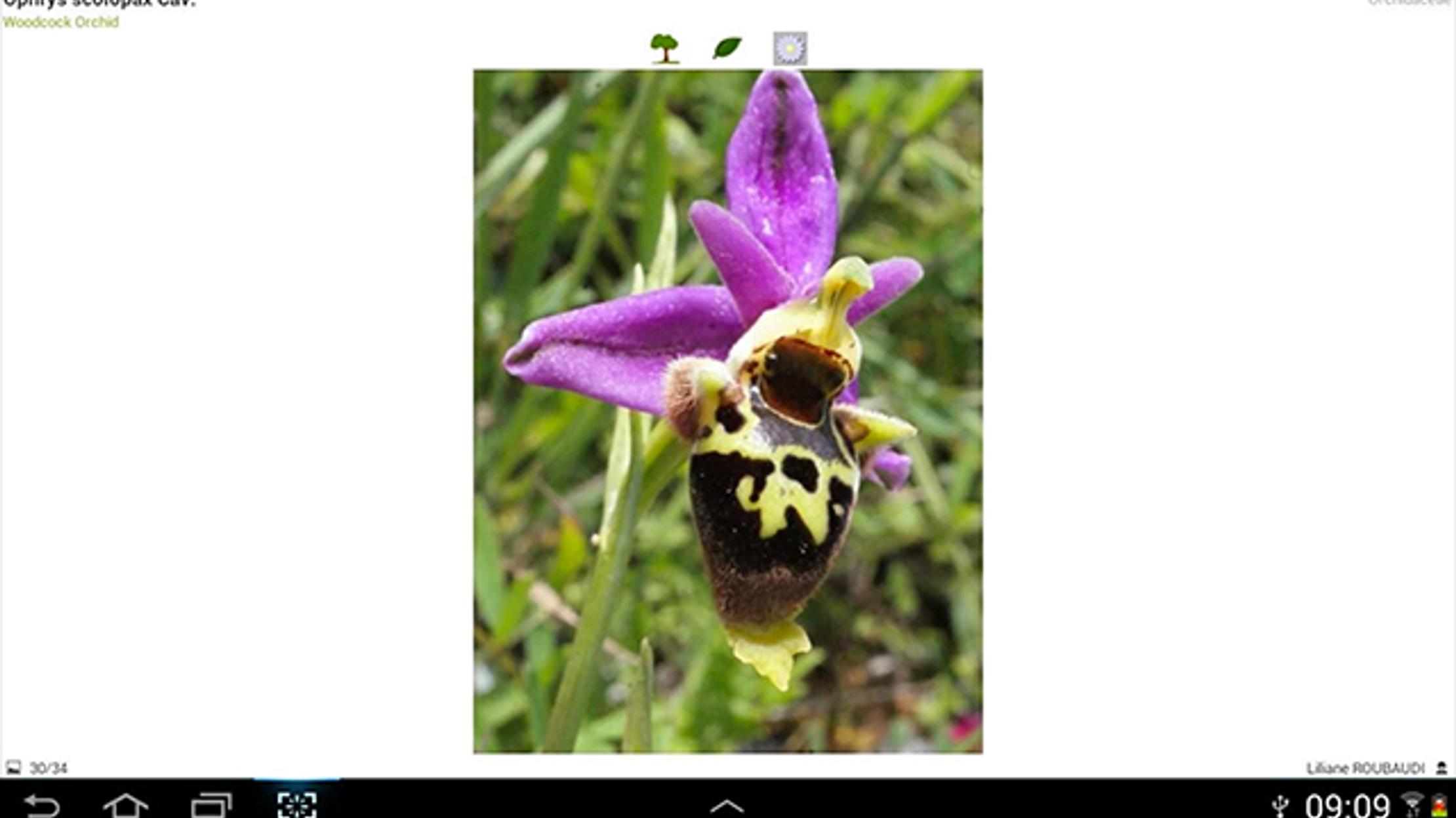 This App Can Identify the Types of Plants You Photograph | Mental Floss