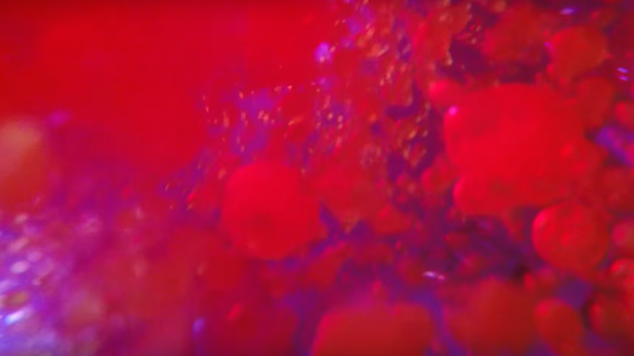 See the Inside of a Lava Lamp From a GoPro's Perspective | Mental Floss