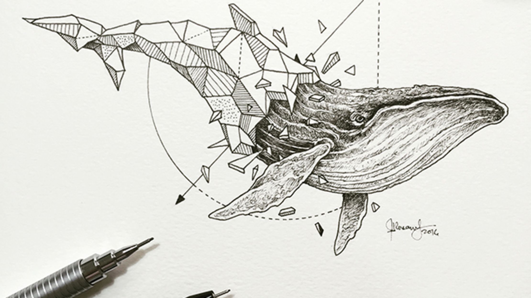 Artist Pairs Wildlife With Geometry To Create Stunning Lively Drawings Mental Floss