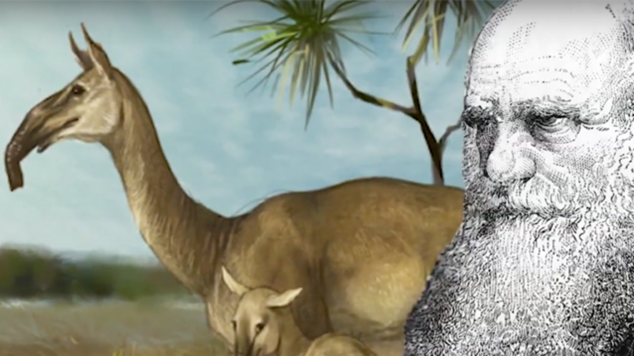 The Origins of Charles Darwin’s Strangest Discoveries Mental Floss
