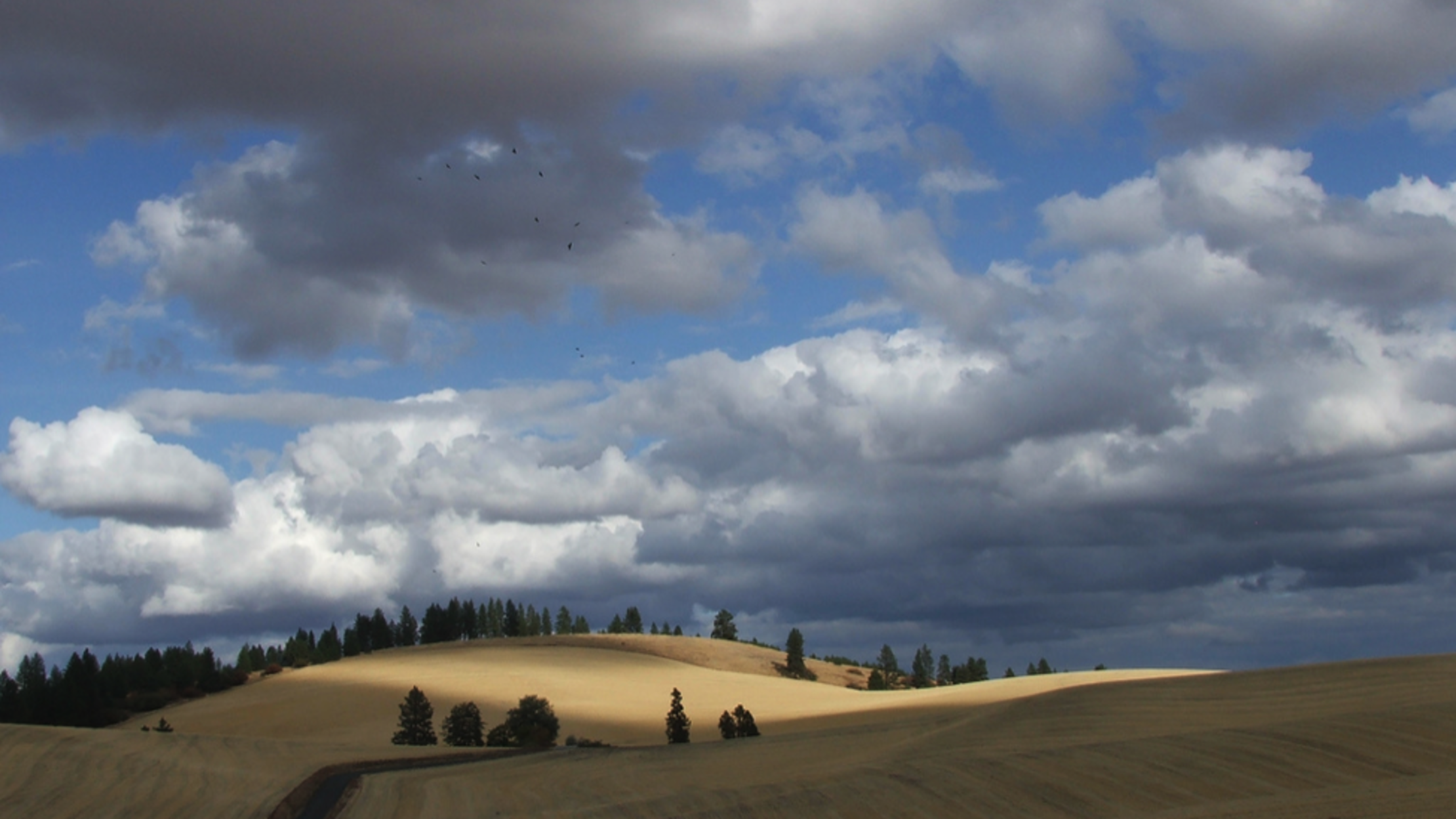 15 Billowing Facts About Clouds Mental Floss