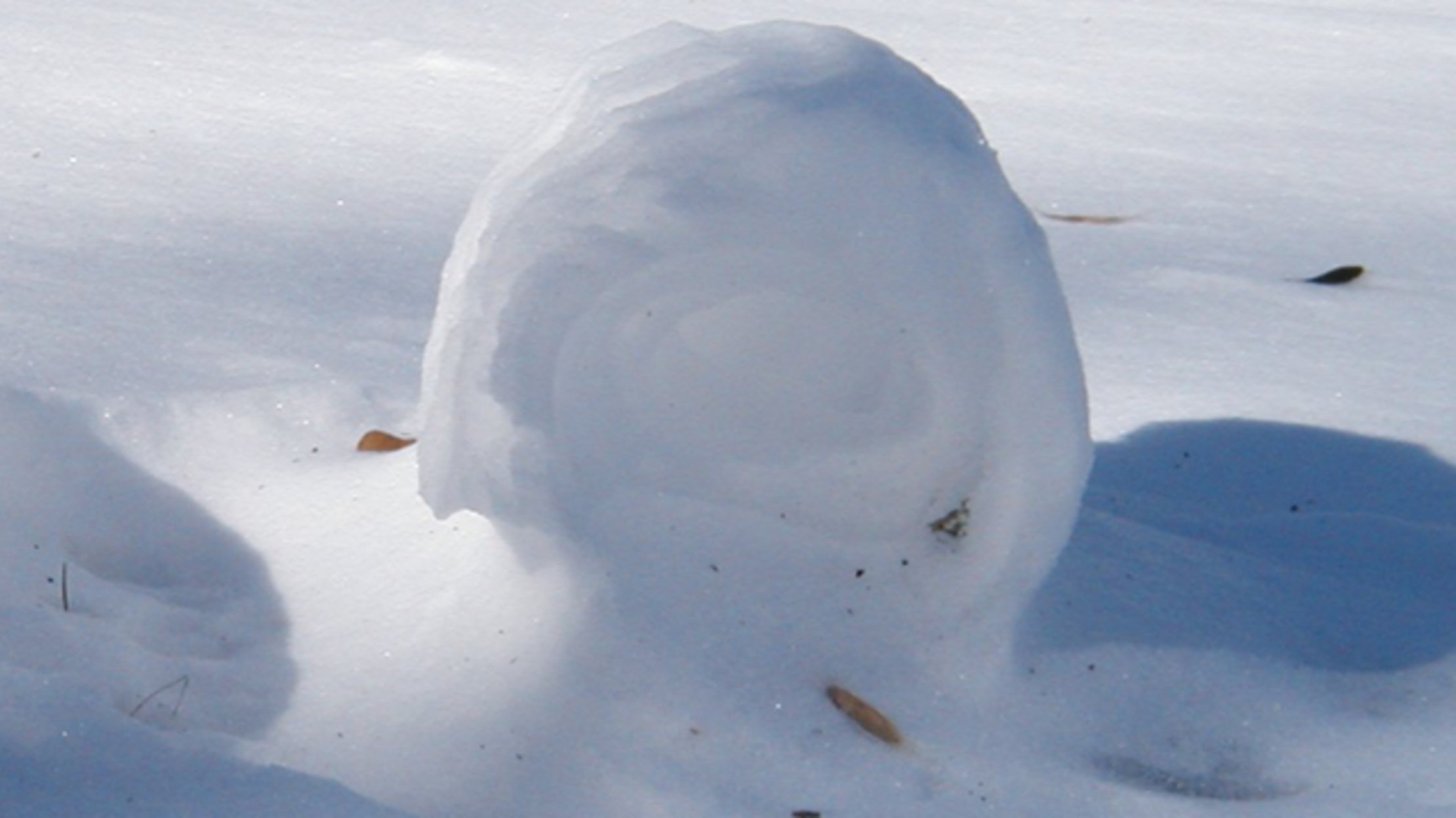 Rare Snow Rollers Form Across Idaho Mental Floss