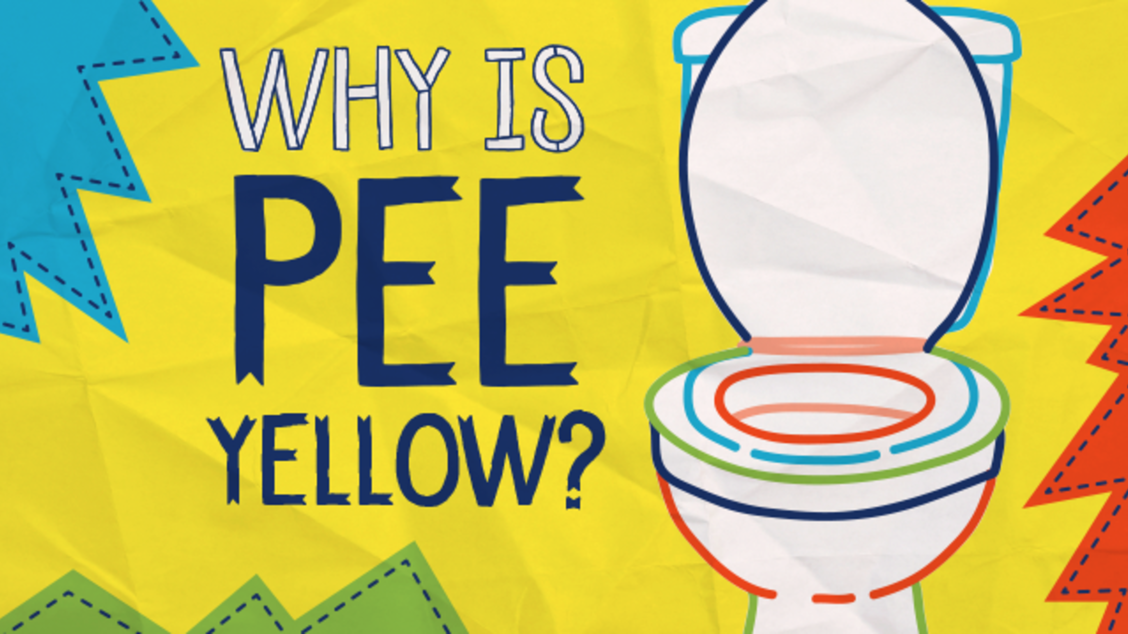 Download Why Is Pee Yellow Mental Floss PSD Mockup Templates