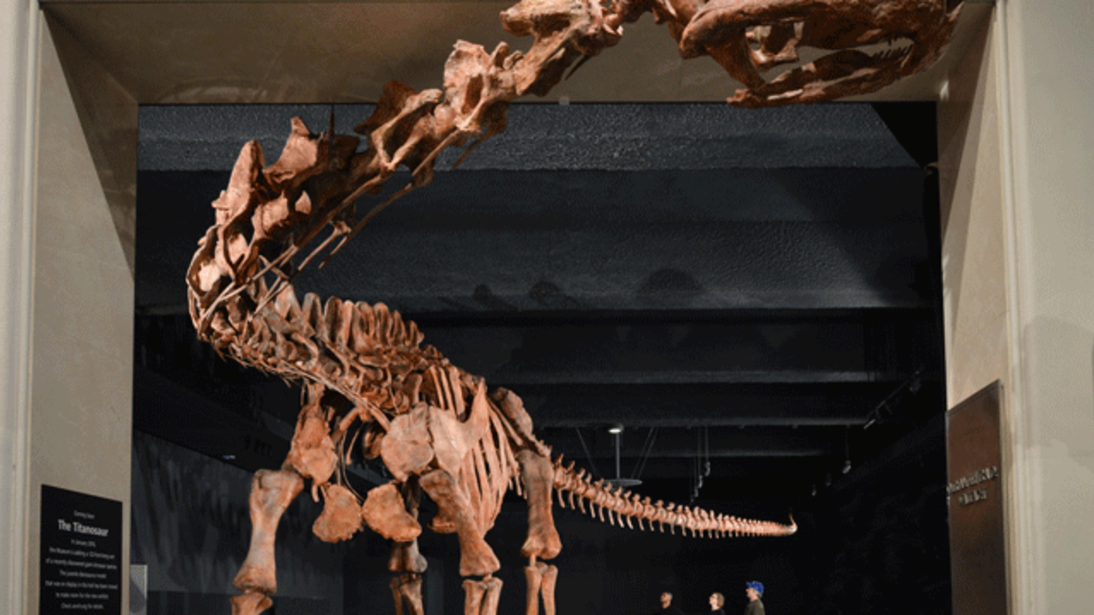 the biggest dinosaur in the whole world