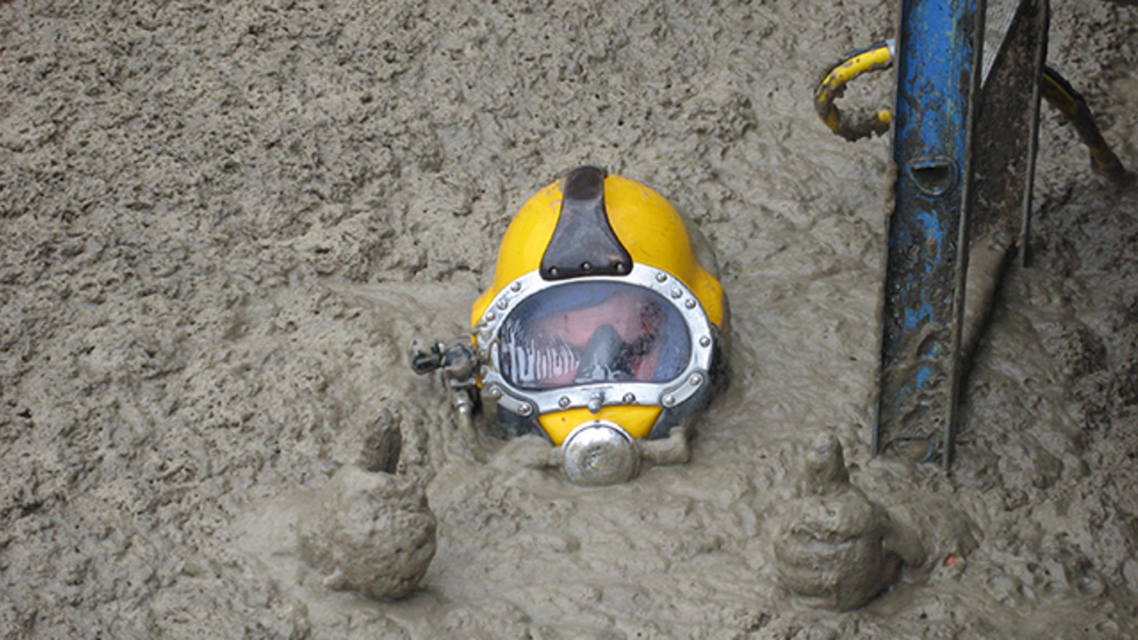 What It’s Like to Swim Through Poop All Day at Work | Mental Floss