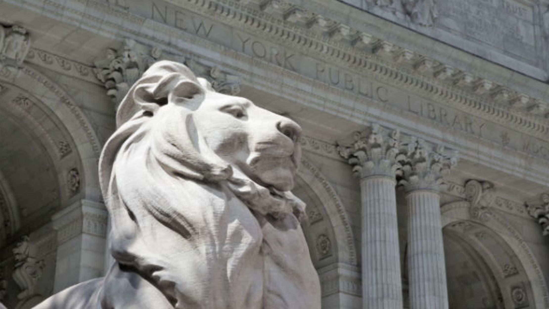 Birthing The New York Public Library Lions Mental Floss