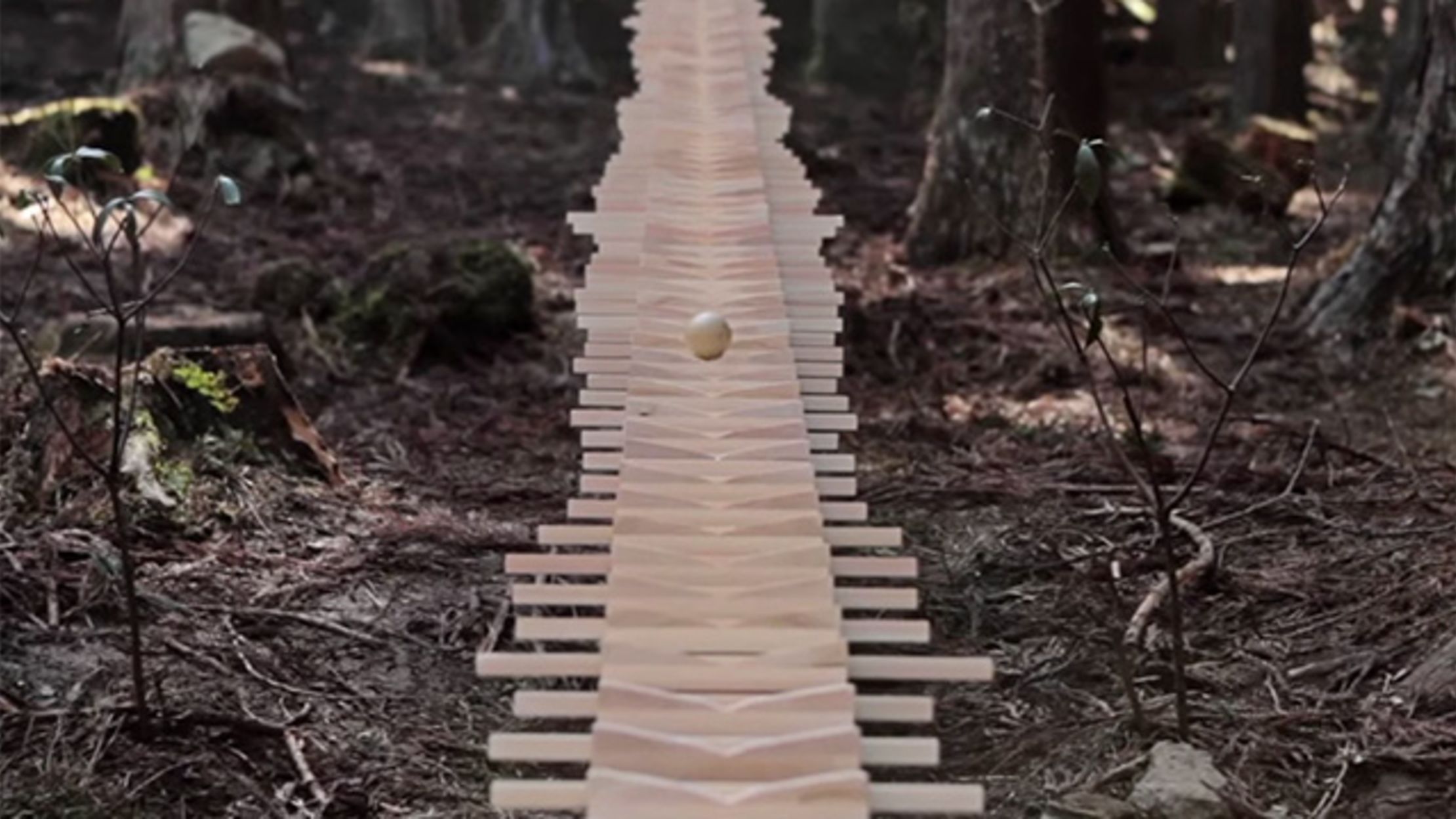 Playing Bach on a Giant Forest Xylophone Mental Floss