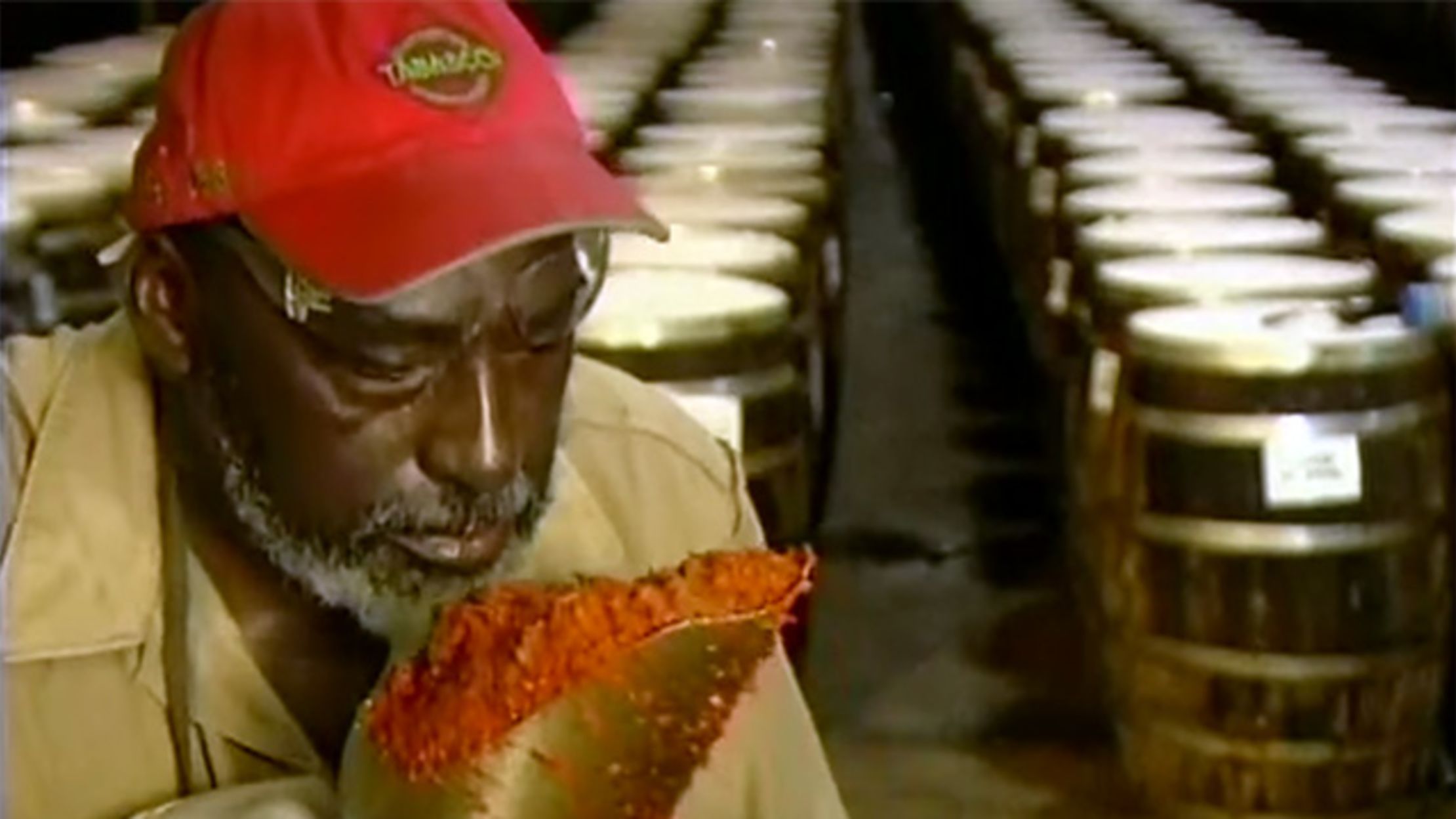 How It's Made Tabasco Sauce Mental Floss