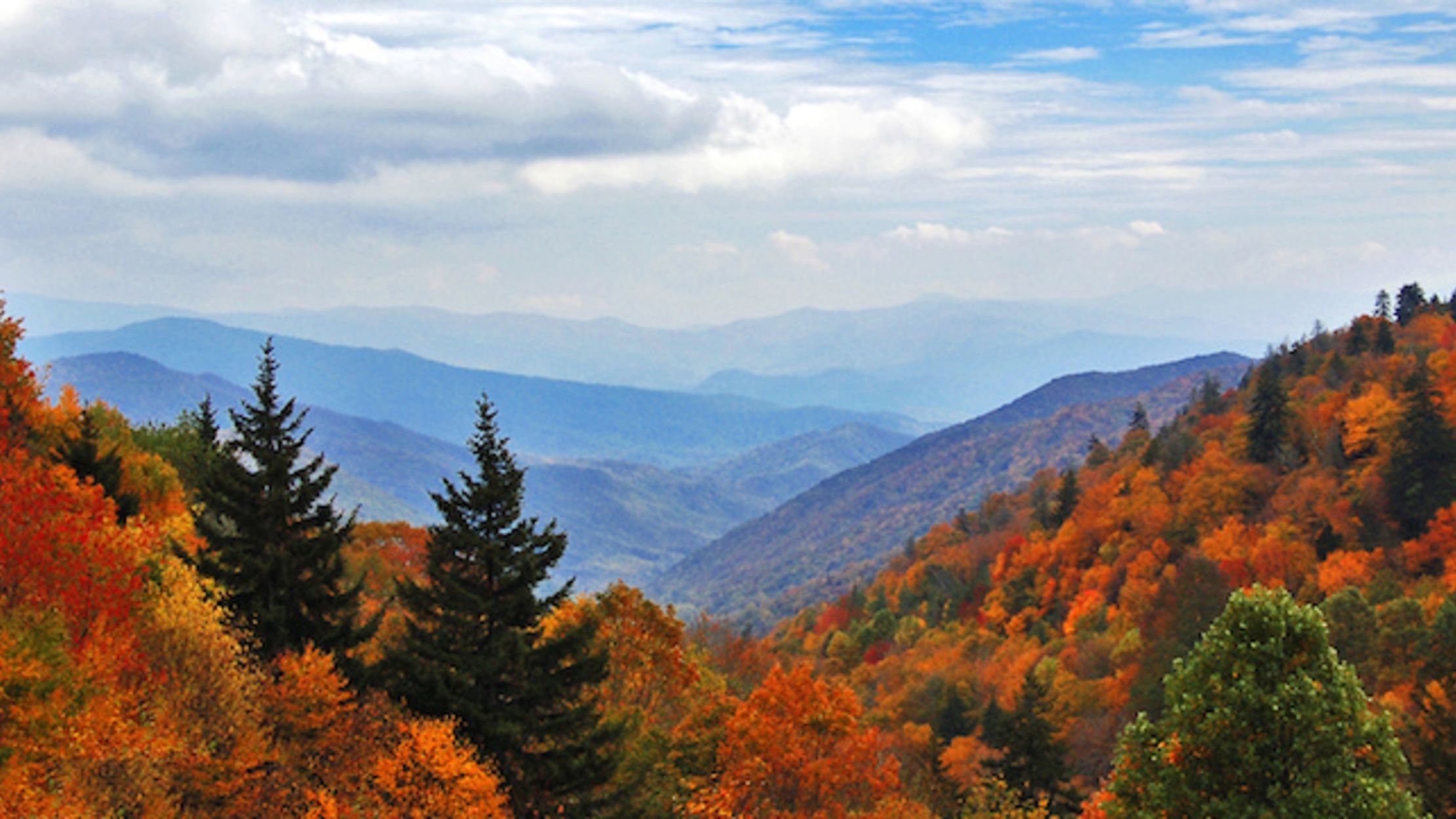 11 Clear Facts About Great Smoky Mountains National Park | Mental Floss