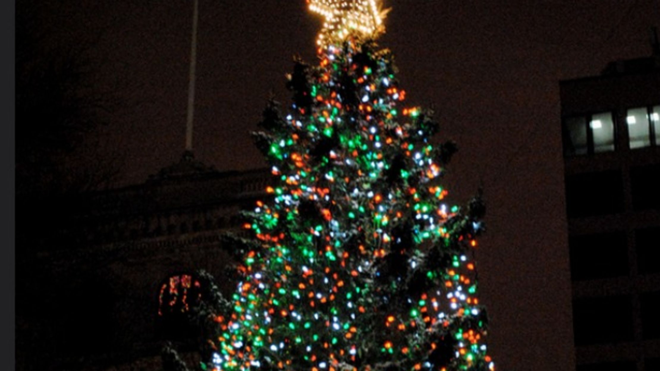 Nova Scotia Sends Christmas Tree Boston