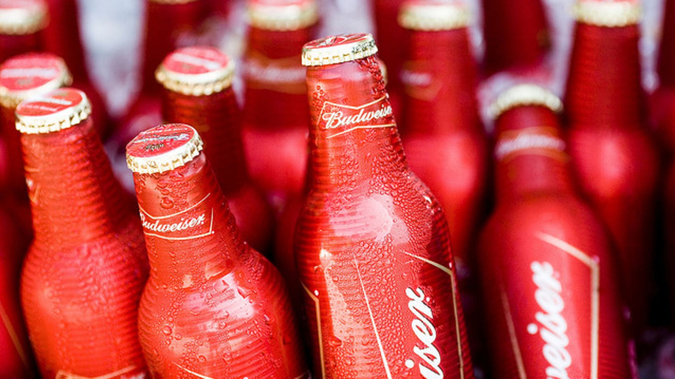 11 Things You Might Not Know About Budweiser Mental Floss