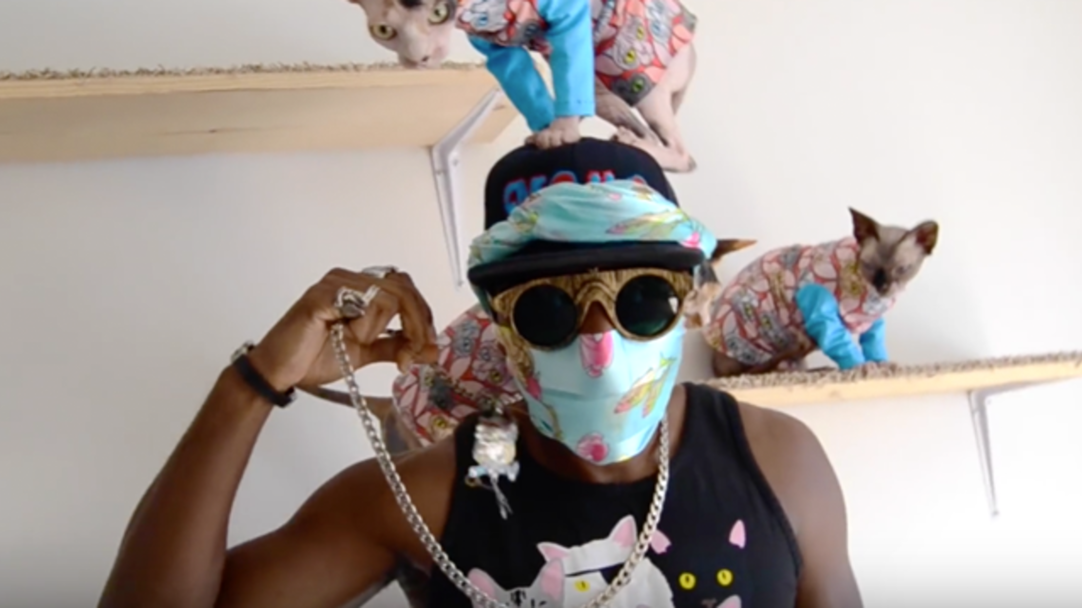This Rapper Can T Stop Writing Songs About His Cats Mental Floss