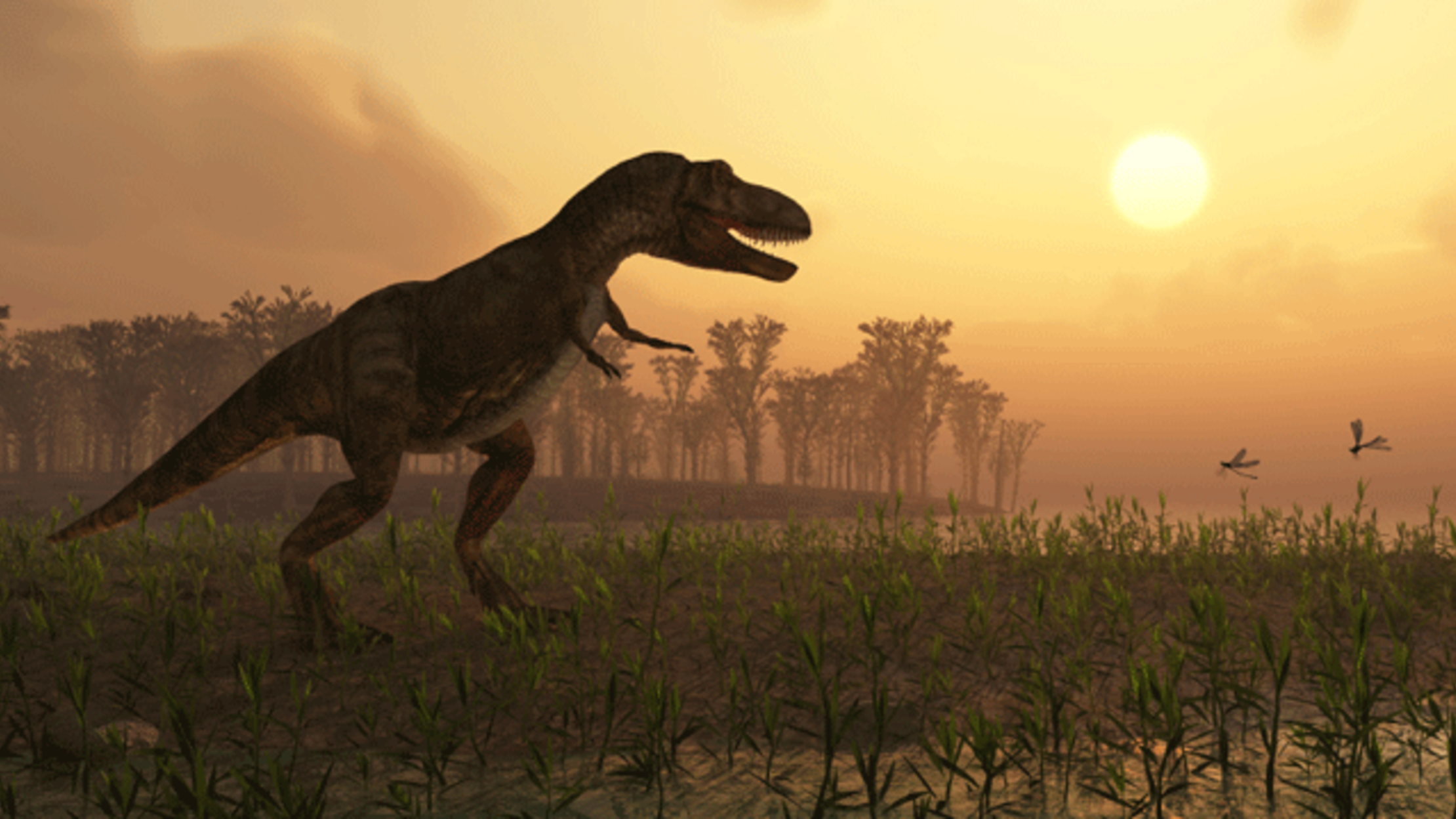 if dinosaurs evolved