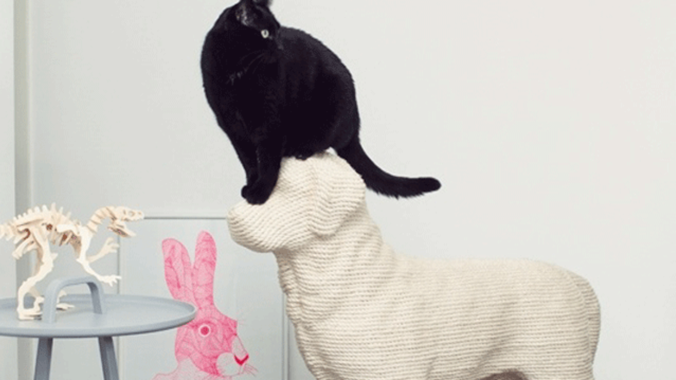 s shaped scratching post