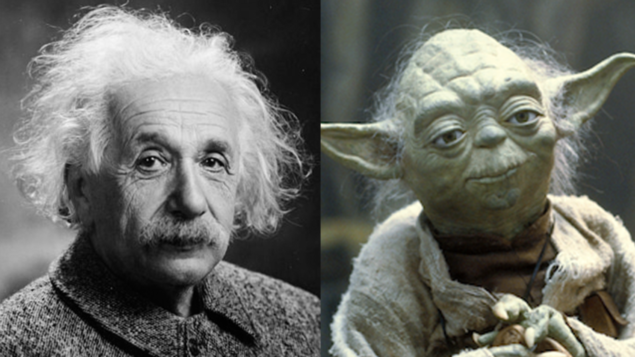 How Einstein Influenced the Look of Yoda Mental Floss How Einstein Influenced the Look of Yoda Mental Floss