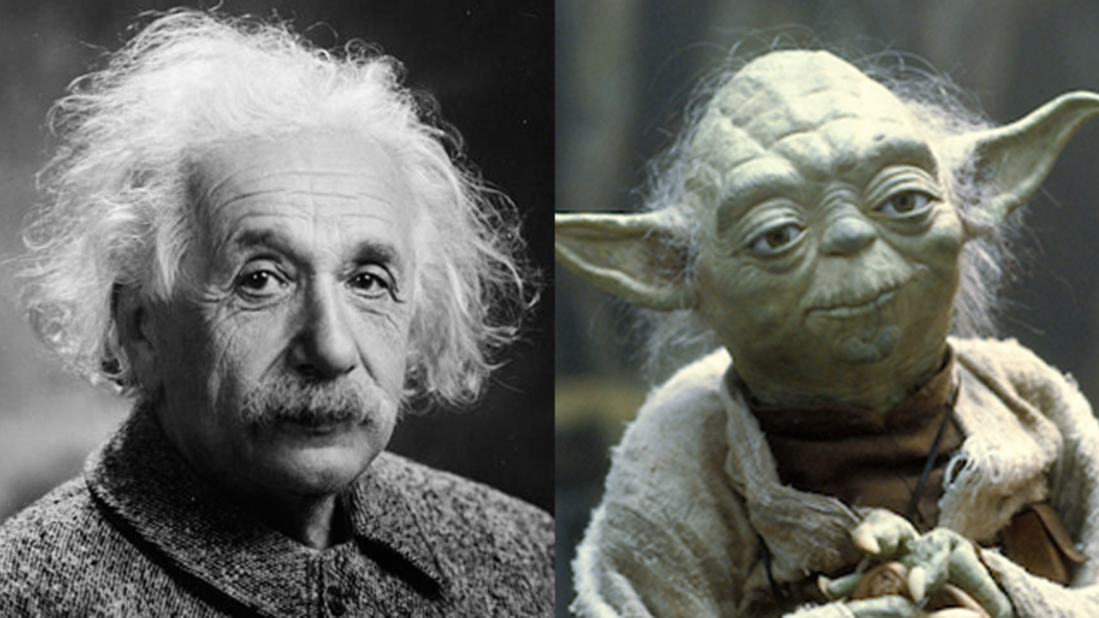 How Einstein Influenced the Look of Yoda | Mental Floss