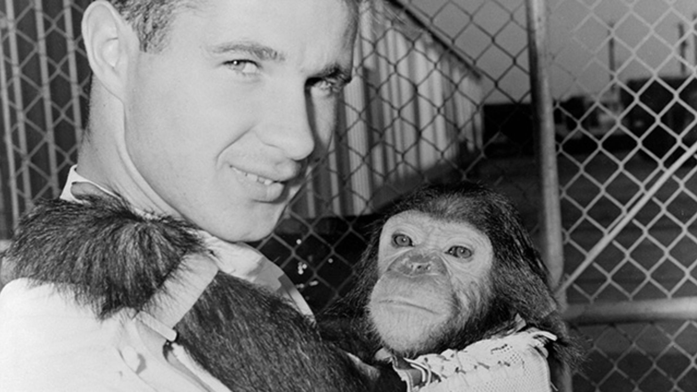 Enos the Chimp, First Chimp in Orbit, 54 Years Ago Today | Mental Floss