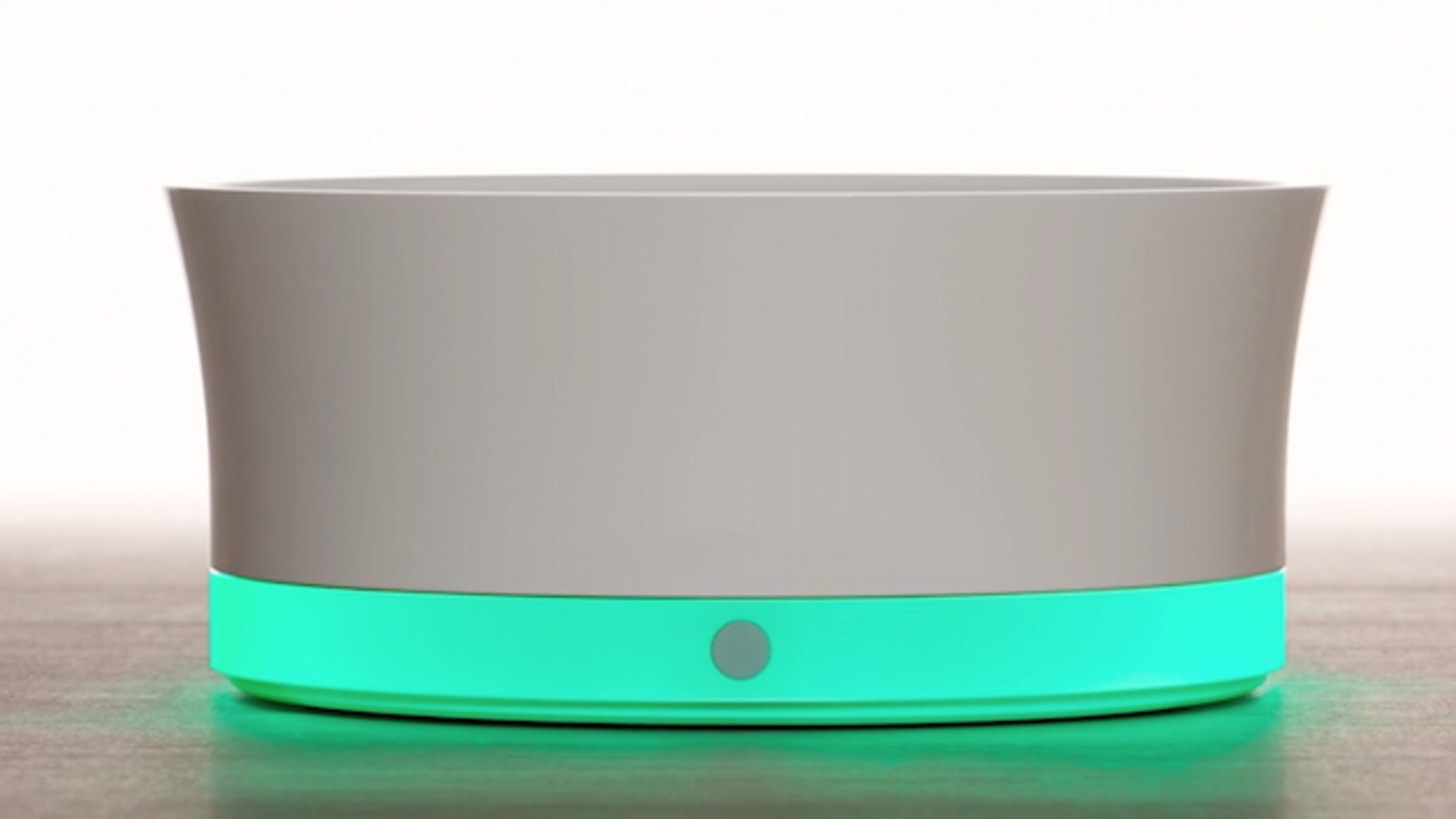 smart dog bowl