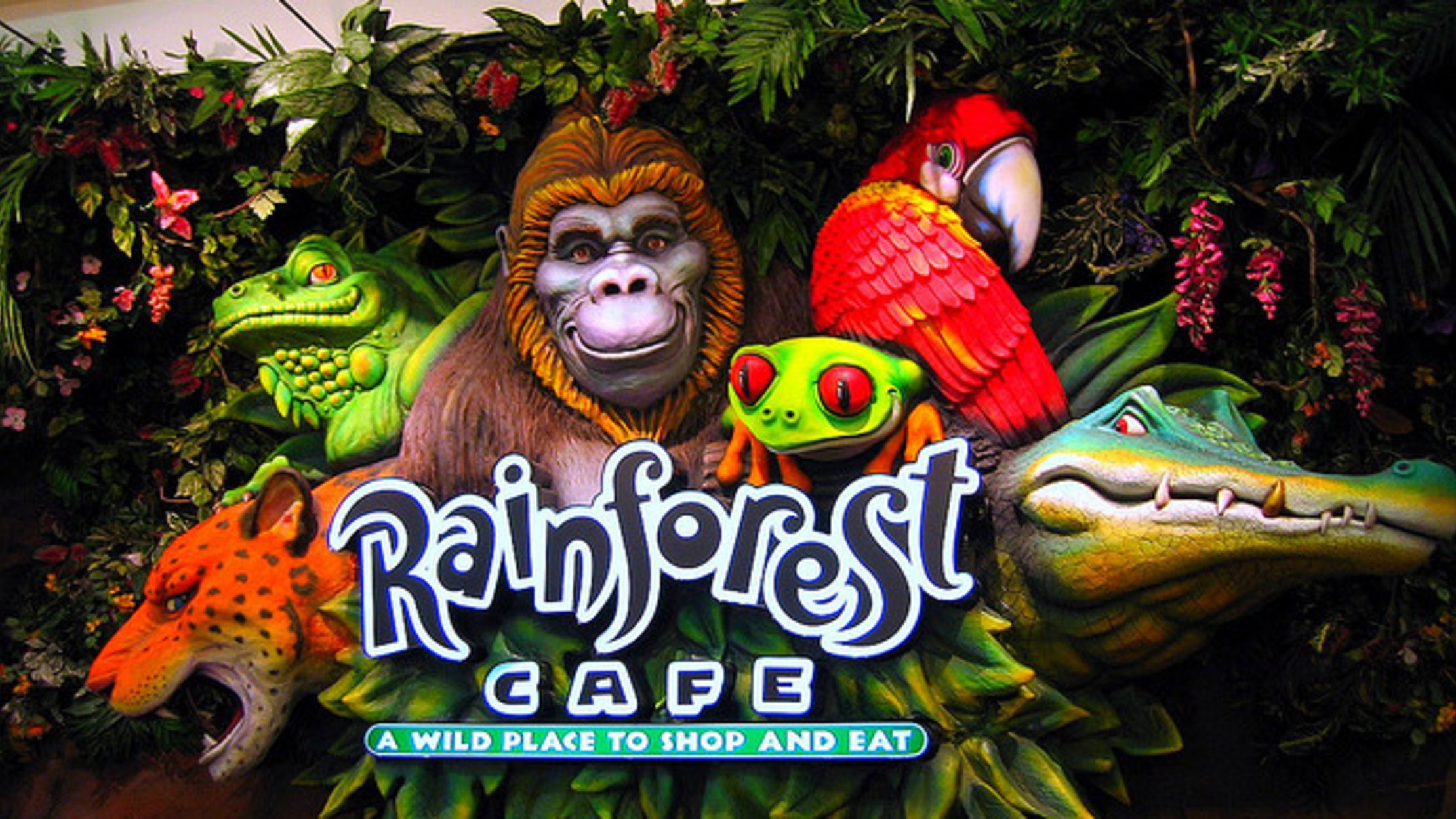11 Things You Might Not Know About Rainforest Cafe Mental Floss