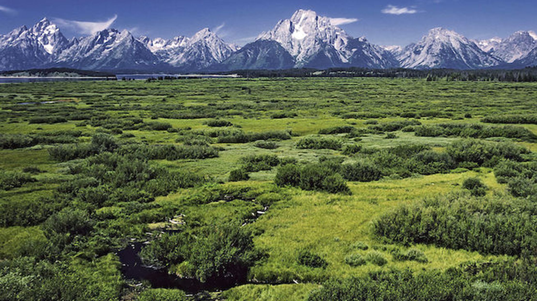 10 Elevated Facts About Grand Teton National Park Mental Floss