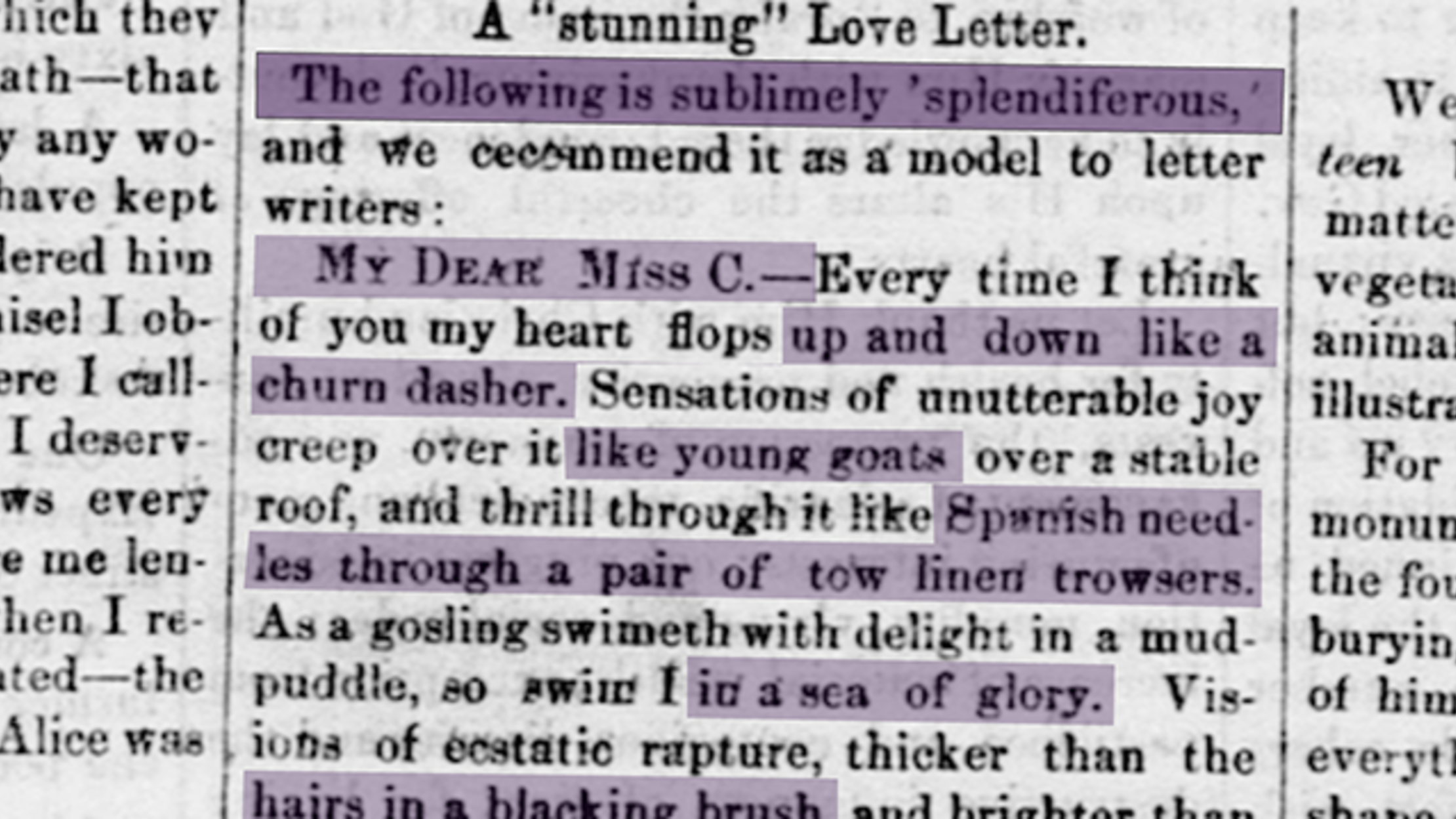 The 19th Century Love Letter That Went Viral Mental Floss
