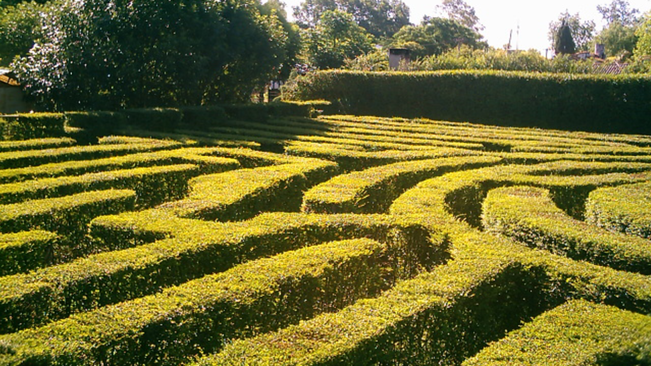 15 Intricate Facts About Mazes Mental Floss