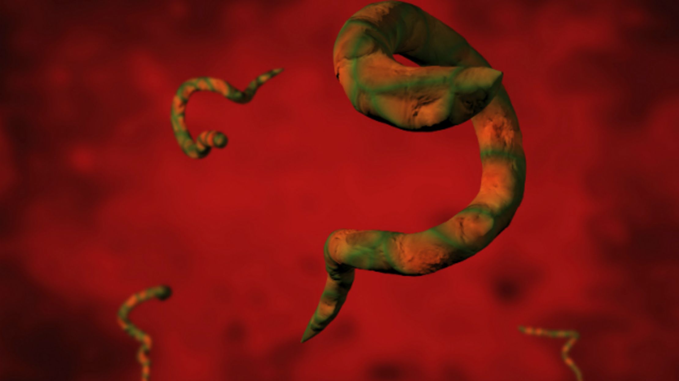Tapeworm Infects Man, Gives Him Cancer | Mental Floss