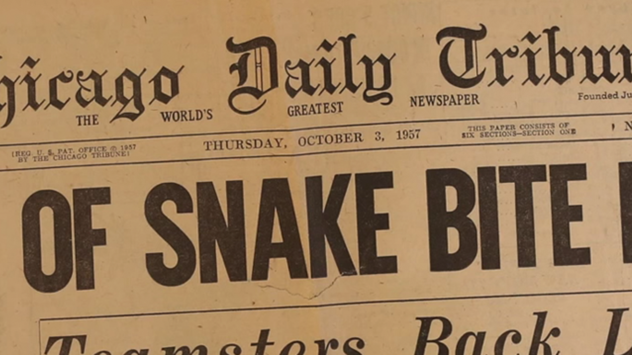 In 1957, a Scientist Carefully Documented His Own Death from a