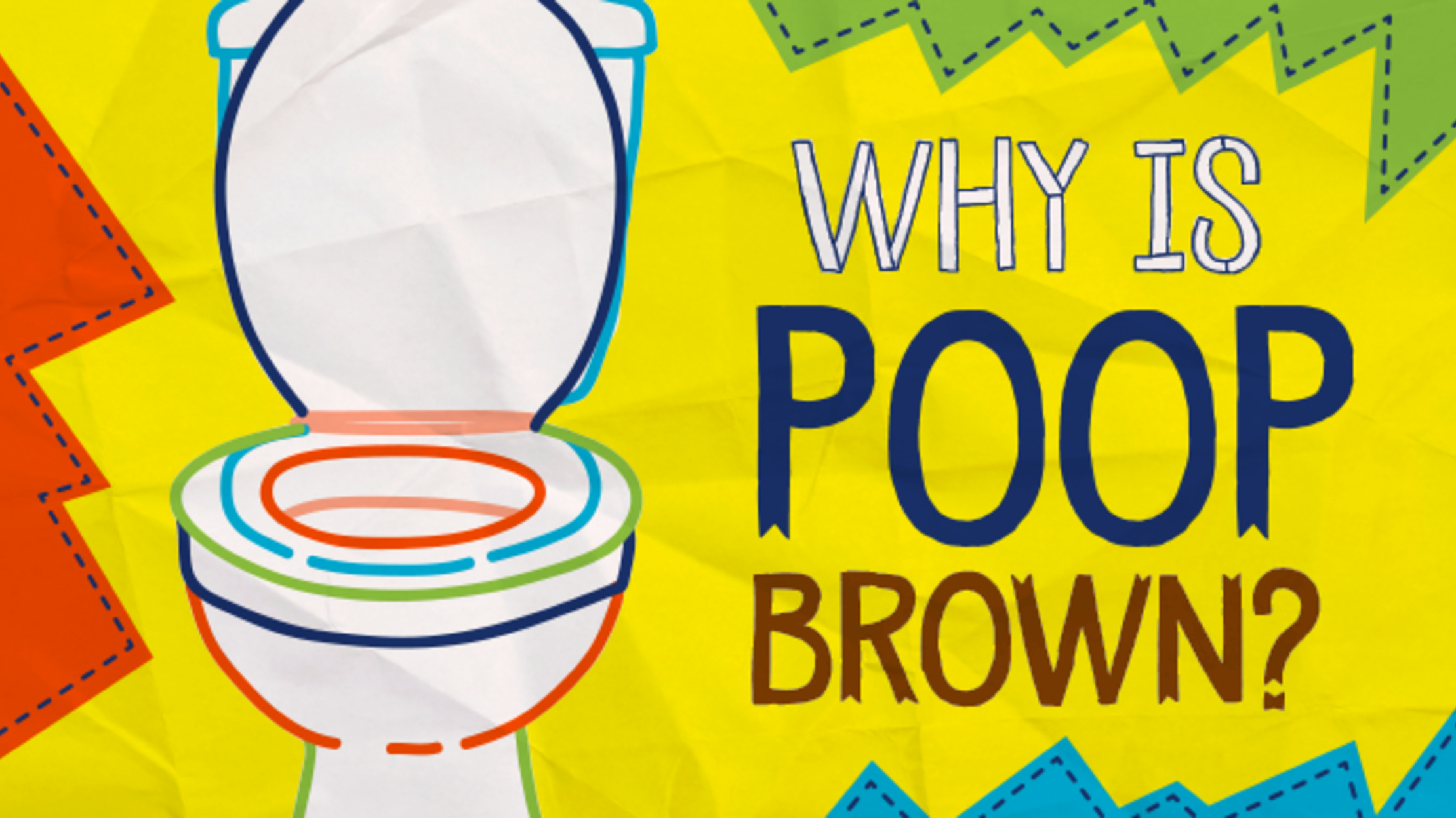 Why Is Poop Brown? Mental Floss