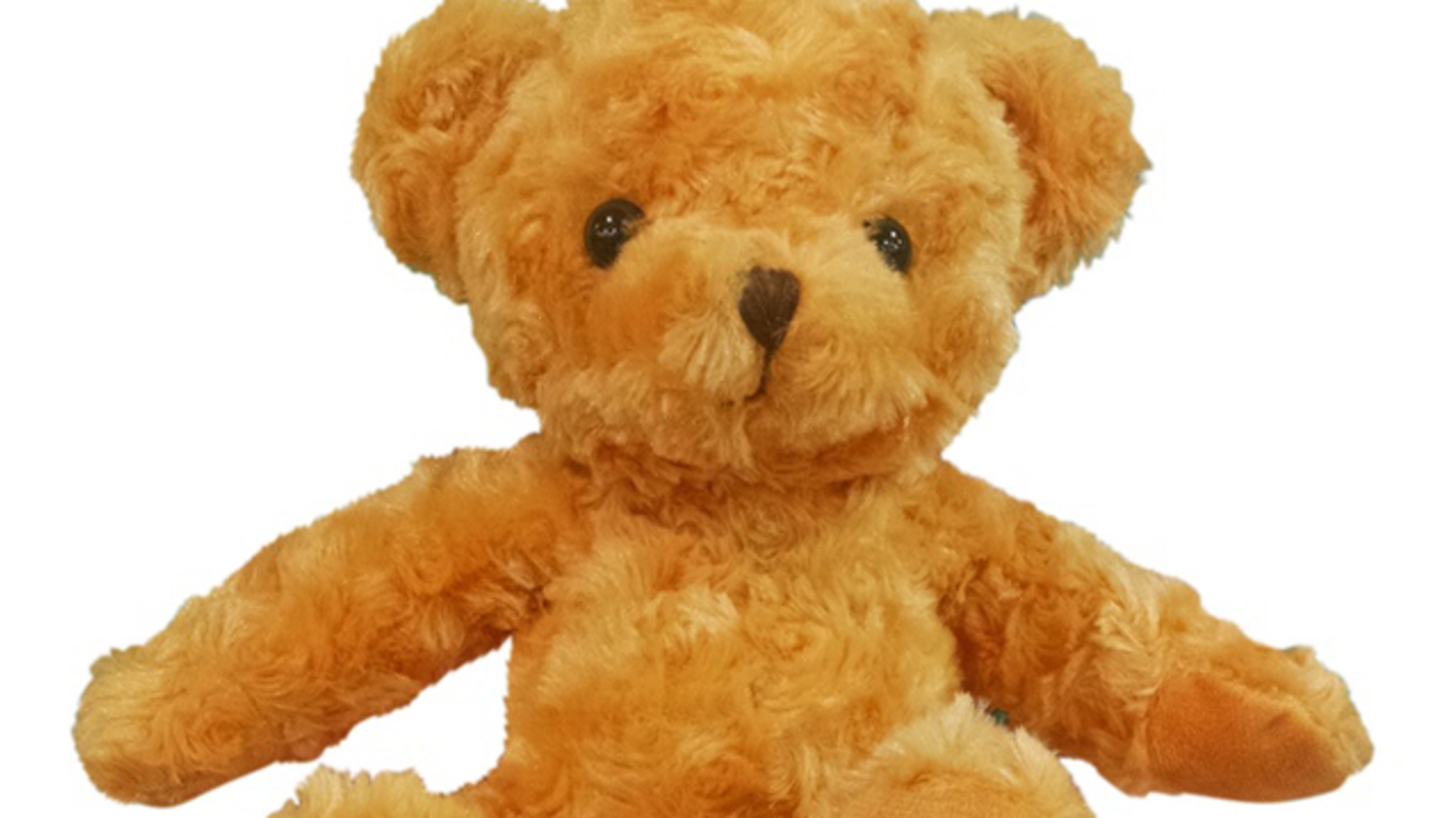 worlds best teddy bear